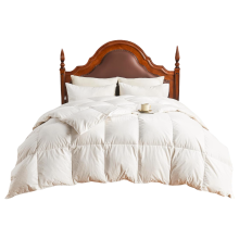 Couette en duvet d’oie d’été légère hypoallergénique respirante 155x220 cm Blanche — couette lit simple