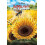 Fuzzy Bumblebee by Constance Clarke Paperback Book 1