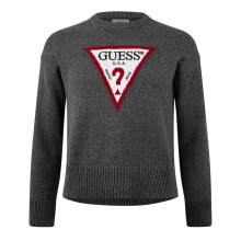 (14 UK, Cobblestone) Guess Womens/Ladies Knitted Crew Neck Regular Jumper