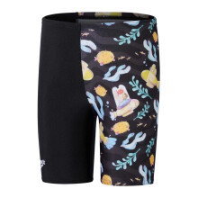 Speedo Boys Jammer All-Over Print Swim Shorts