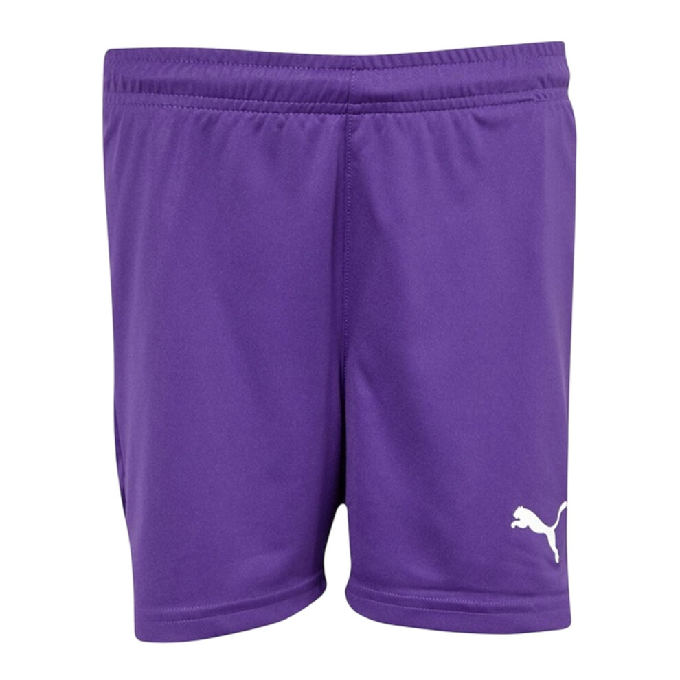 Puma (9-10 Years, Purple) Boys Team Logo Shorts