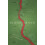 Blood River by Tim Butcher Paperback Book 1