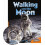 Walking on the Moon by Nicholas Brasch Paperback Book 1
