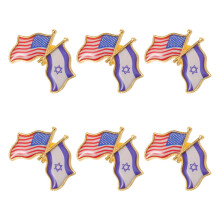 6St Duurzame Lapel Pins Met Israëlische En Amerikaanse /wit