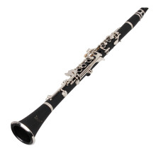 Voor Beginners Zwart Muziekinstrument Met Set