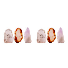 6Pièces Pendentifs Pierres D'agate Multicolores Pour Décor