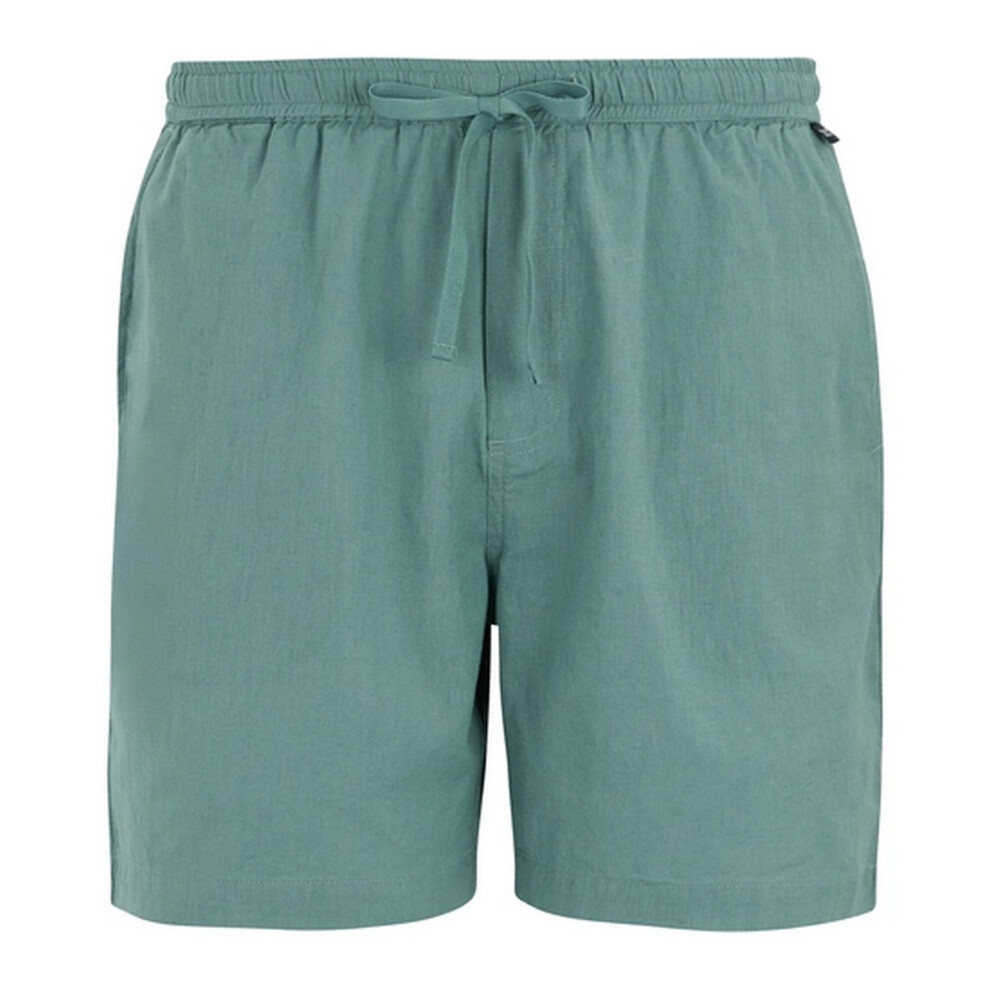 Regatta (Xl, Arctic) Mens Hadlin Shorts