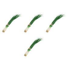 4Pièces Oignons Verts Artificiels Ornement Réaliste Pour Cuisine