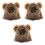 3Pièces Chapeau Chat Marron Costume Cosplay Pour Animaux 1