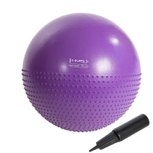 Palla da ginnastica viola da 55 cm per esercizi e fitness