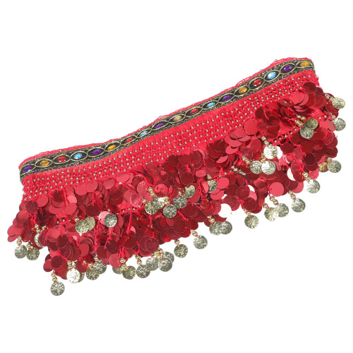 Buikdans Heupdoek Met Muntjes Chiffon Dansrok Dames