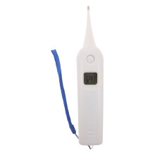 Nauwkeurige Plastic Thermometer En