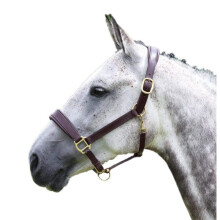 (Cob, Havana) Blenheim Leather Travel Horse Headcollar