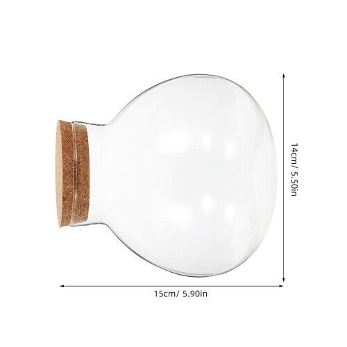 2 transparante glazen terrarium voor microlandschap 1