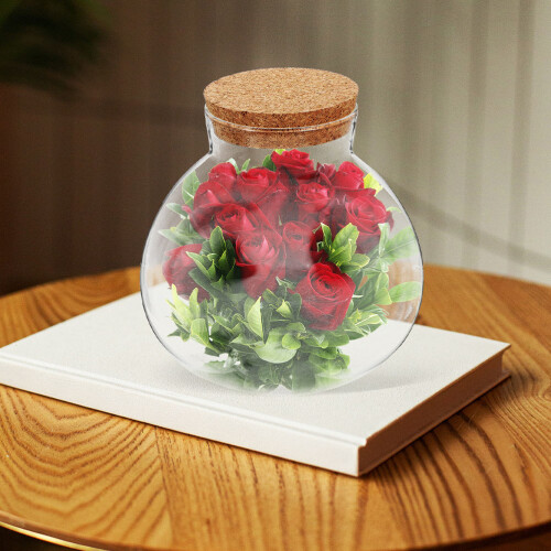 2 transparante glazen terrarium voor microlandschap 2