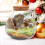 2 transparante glazen terrarium voor microlandschap 9