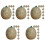 40Pièces Mini Melons Artificiels En Résine Vert Pour Décor Maison 3