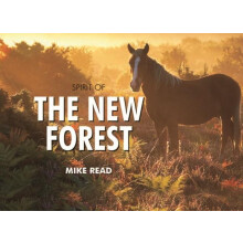 Spirit of the New Forest by Mike Read Hardcover Book