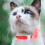 6St Polyester Kattenhalsband Bloemdesign Verstelbaar Huisdier Decor 3