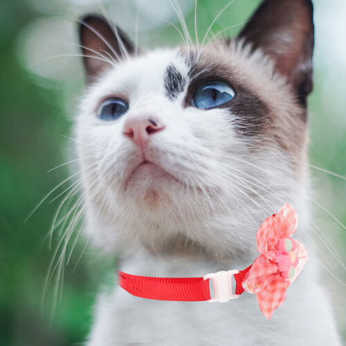 6St Polyester Kattenhalsband Bloemdesign Verstelbaar Huisdier Decor 2