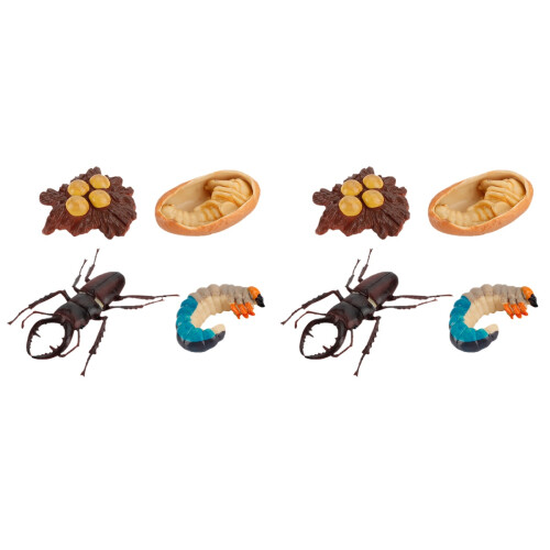 8Pièces Décorations Modèles Croissance Insectes Réalistes Pour Enfants 2