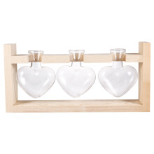 3 Stuks Hart Hydrocultuur Plantenbak Met Rek