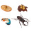 8Pièces Décorations Modèles Croissance Insectes Réalistes Pour Enfants 9