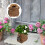 2Pièces Cache-Pot Artistique En Résine Pour Décoration Interne 10