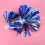 2 Cheerleader Pompons 3