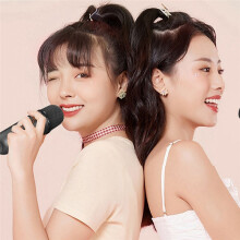 Portable Karaoke Machine Y2 KTV System Wireless Dual Microphone High-Fidelity Stereo Sound