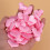 100St Roze Spons Hart Confetti Decor Romantische 3