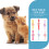 6St Polyester Kattenhalsband Bloemdesign Verstelbaar Huisdier Decor 6