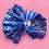 2 Cheerleader Pompons 5