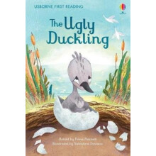 Ugly Duckling by Fiona Patchett Hardcover Book