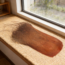 10St Lichtbruine Palm Bark Voor Handwerk En Rustieke