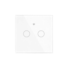 Tuya Matter Light WiFi EU Standard 2-Way Glass Touch Panel APP Remote Control Voice White