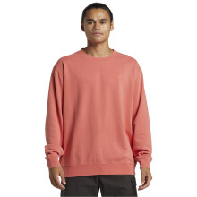 (S, Spiced Coral) Quiksilver Mens Salt Water Pullover Sweatshirt Sweater Top Jumper Warm