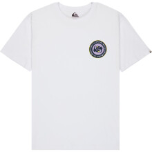 (2XL, White) Quiksilver Mens Ev Duality Graphic Short Sleeve T-Shirt