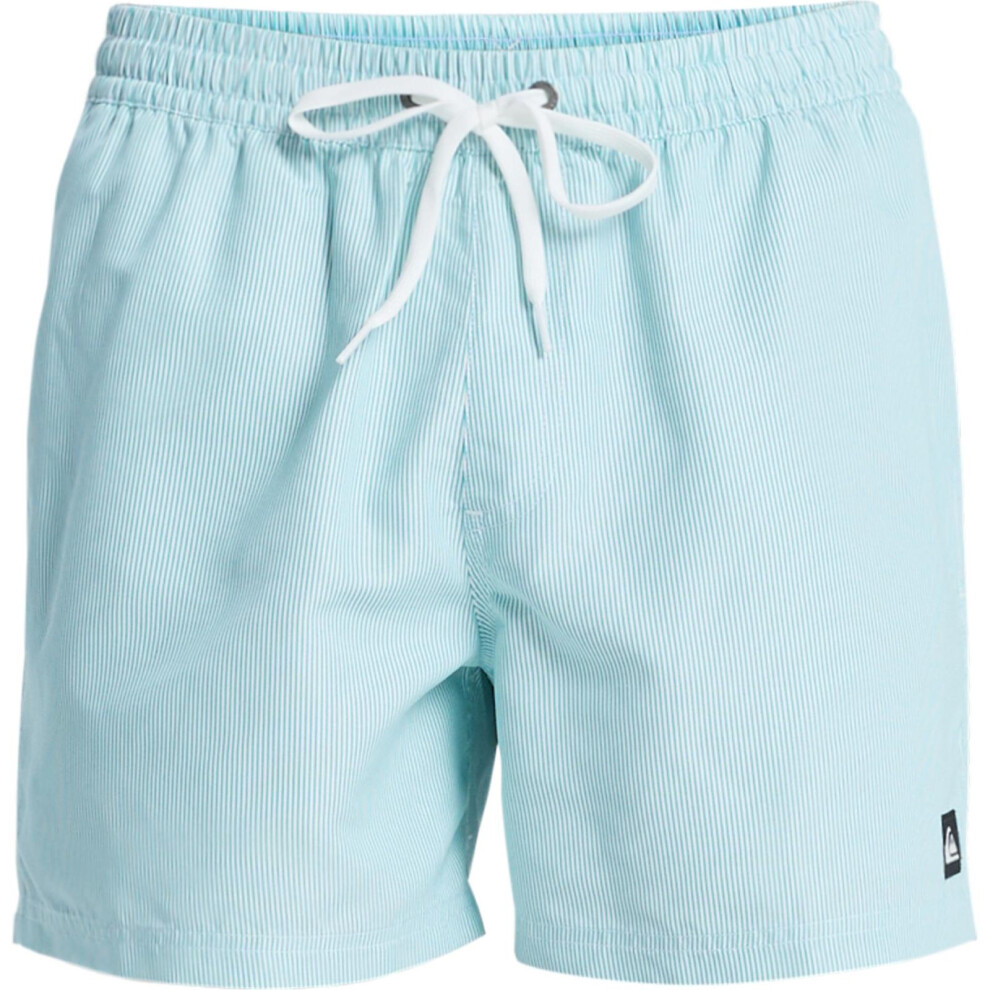 Quiksilver (S, Aqua) Mens Everyday Deluxe 15" Swim Shorts