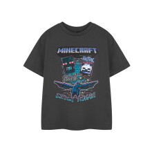 (11-12 Years) Minecraft Short Sleeved T-Shirt (Boys Grey)