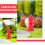 10 DIY Micro Landscape Brandkraan Decoratie 5