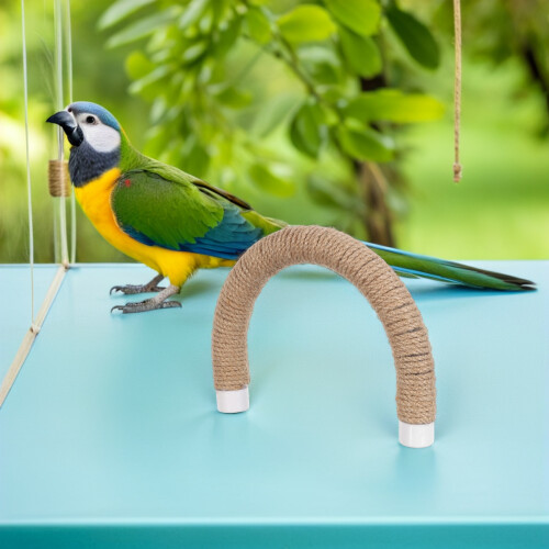 Lichtbruin Vogel Krabpaal Met Touw 2