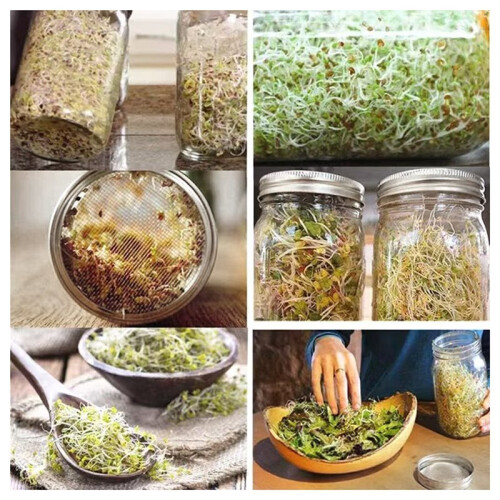 1 Kit 2 Barattoli Germogliazione con Rete, per Germogli e Microgreens 2