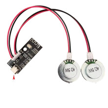 4Ohm 5W DIY-Luidspreker Botgeleiding Verborgen Geluidsysteem Hoornresonantie met Versterkerbord 2x Luidspreker