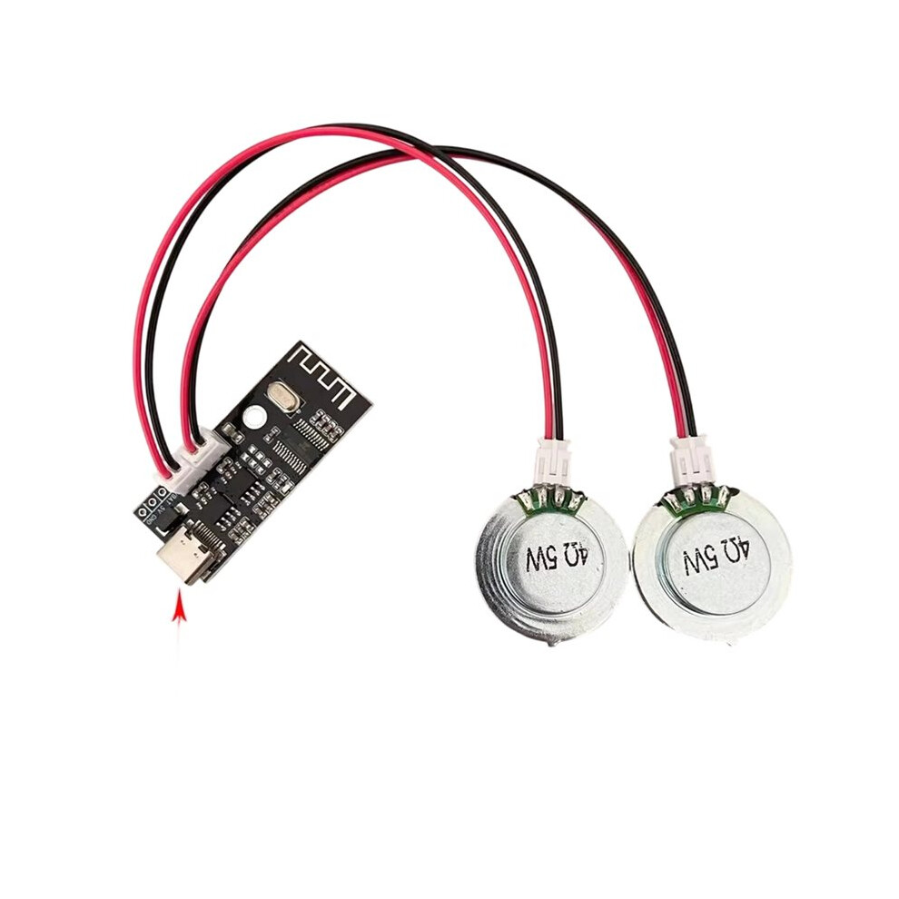 4Ohm 5W Diy Speaker Bone Conduction Hidden Sound System Horn Resonance With Amplifier Board 2XSpeaker 6031978976930