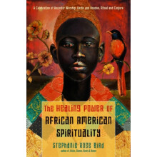 Healing Power of AfricanAmerican Spirituality by Stephanie Rose Bird P