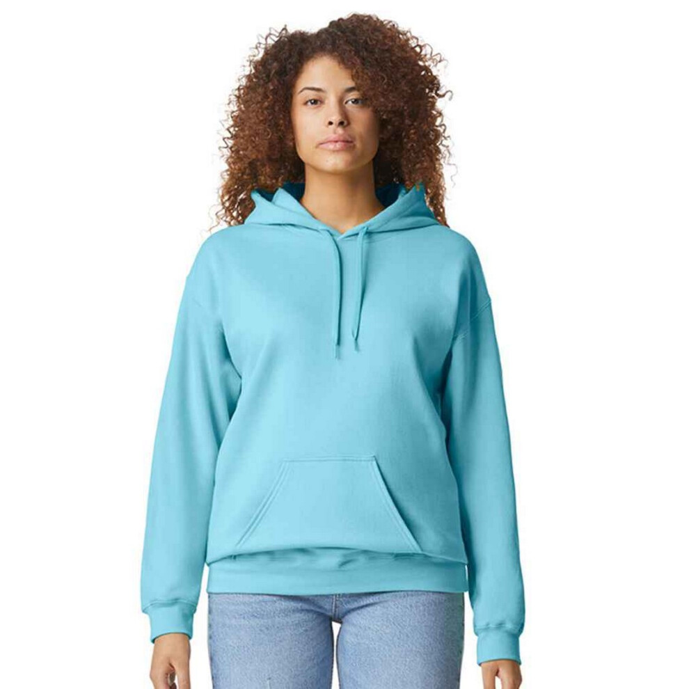 Gildan (L, Sky) Unisex Adult Softstyle Fleece Midweight Hoodie
