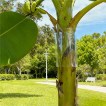 Squirrel Baffle for Tree Trunk for Bird House & Wooden Post Bird Feeder Baffle Guard Protector From Squirrel Raccoon Etc