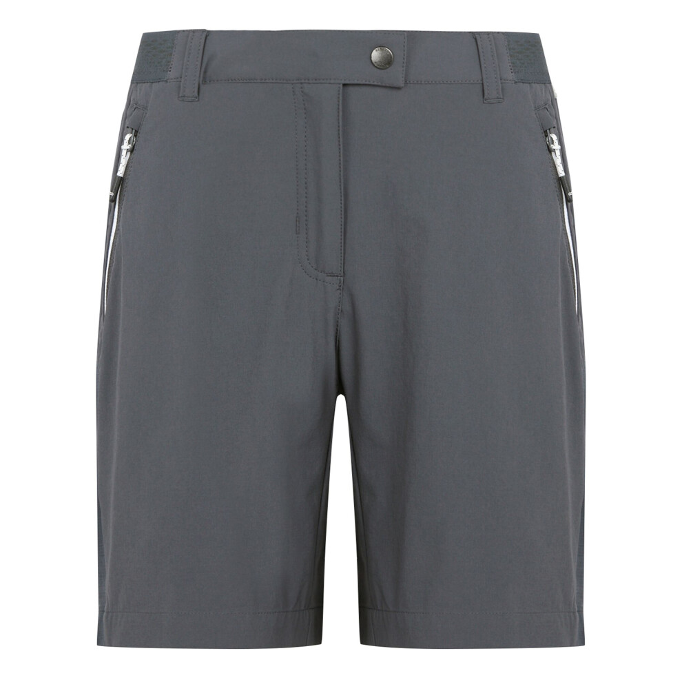 Regatta (14 Uk, Seal Grey) Womens/Ladies Mountain Ii Shorts