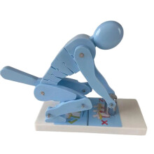 Lumbar Protection Model Correct Weight Posture Demo Spine Alignment Trainer Back Support Teaching for Health Education